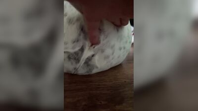 Dog get girl: bestiality video compilation