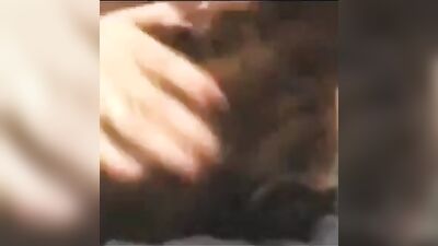 Zoo sex video: bestiality porn great dane