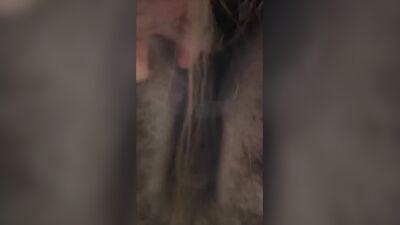 Dog girl porn: bestiality impregnation