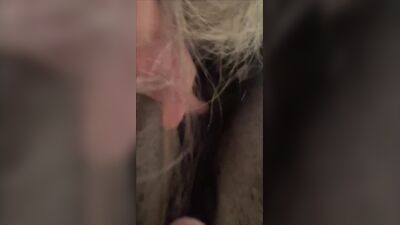 Dog girl porn: bestiality impregnation