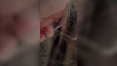 Dog girl porn: bestiality impregnation