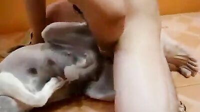 Animal sex porn: porn zoophilia