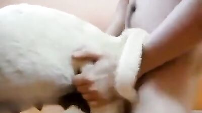 Animal sex porn: porn zoophilia