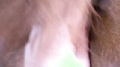 2 dog girl: bestiality compilation