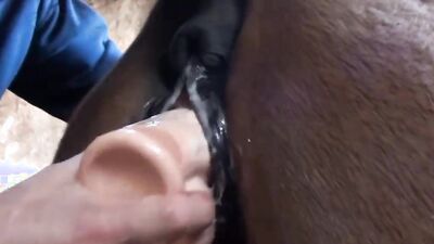 Dog fuck girls fucking: bestiality fuck man