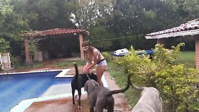 3d dog sex: female zoo porn