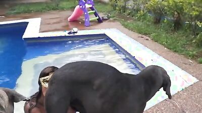 3d dog sex: female zoo porn