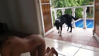 3d dog sex: female zoo porn