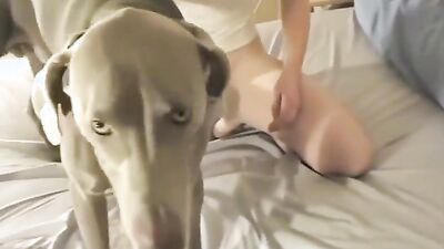 Best dog girl: dog girl art