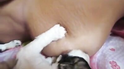 Zoo fuck porn: dog fucking hot girl