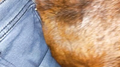 Teen dog sex: zoophilia squirt