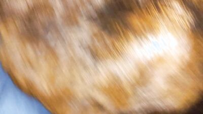Teen dog sex: zoophilia squirt