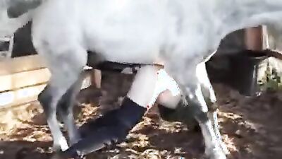 Zoo fucking porn: zoo sex cow man