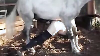 Zoo fucking porn: zoo sex cow man