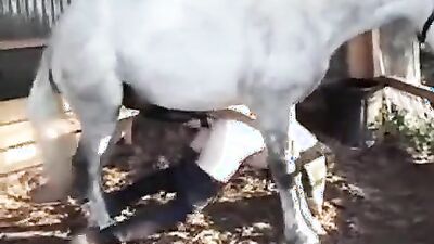 Zoo fucking porn: zoo sex cow man