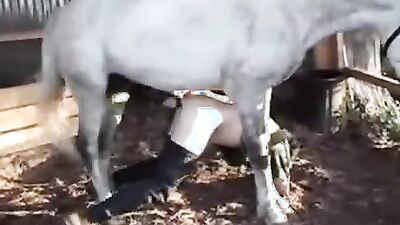 Zoo fucking porn: zoo sex cow man