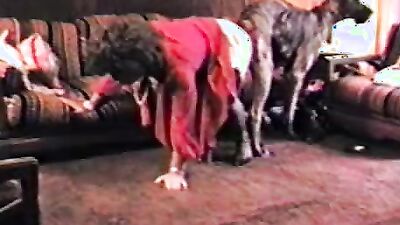 2 dog girl: mimi dog sex