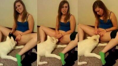 Bestiality: sex with an anthropomorphic animal video