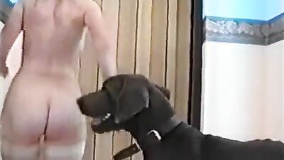 Bestiality porno: desert storm bestiality