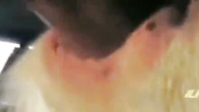 Zoo porno video: mimi dog girl sex