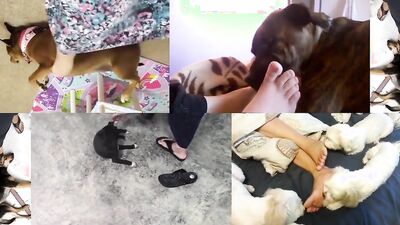 3d bestiality: dog fuck girl anal