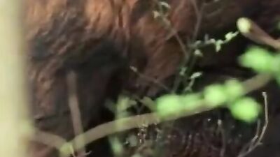 Dog girl 1: russian zoo porn dogs