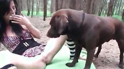 Dog fucking girl: zoophilia porn videos