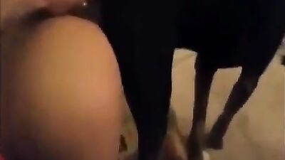 Zoo fucking porn: hentai bestiality telegram