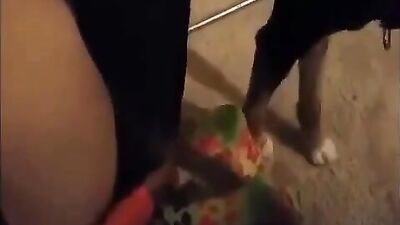 Zoo fucking porn: hentai bestiality telegram