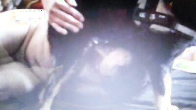 Zoo sex porno: hard zoophilia