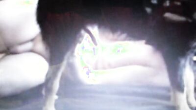 Zoo sex porno: hard zoophilia