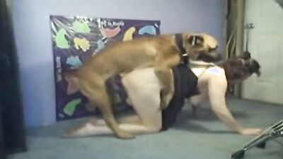 Dog porn video: kiss sex dog