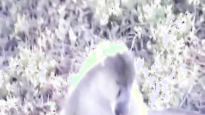 Boy girl dog: bbw bestiality video