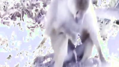 Boy girl dog: bbw bestiality video
