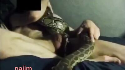 Art of zoo porno: sex manhwa gay animals