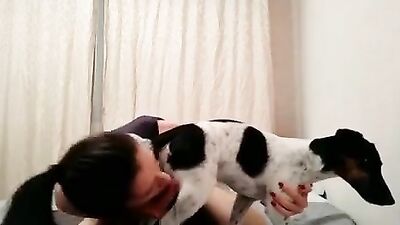 Animal sex: boy dog porn