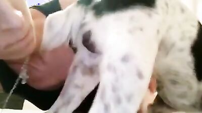 Animal sex: boy dog porn