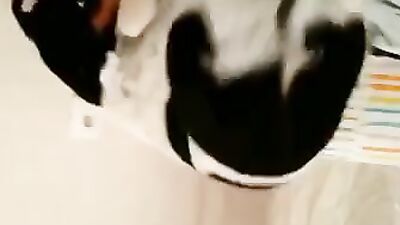 Animal sex: boy dog porn