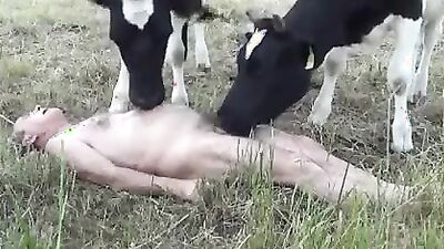 Bestiality video: tema russia animal sex dog hors