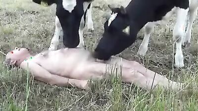 Bestiality video: tema russia animal sex dog hors