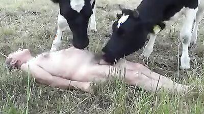 Bestiality video: tema russia animal sex dog hors