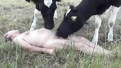 Bestiality video: tema russia animal sex dog hors