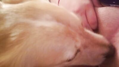 Dog get girl: zoophilia and dogs