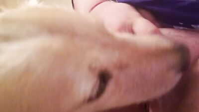 Dog get girl: zoophilia and dogs