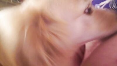 Dog get girl: zoophilia and dogs