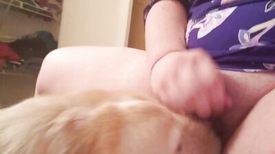 Dog get girl: zoophilia and dogs