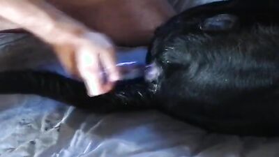 1 girl 5 dog: zoo porn 3