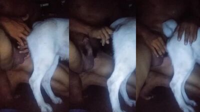 Zoo porn compilation: new silesto porn zoo video roliki