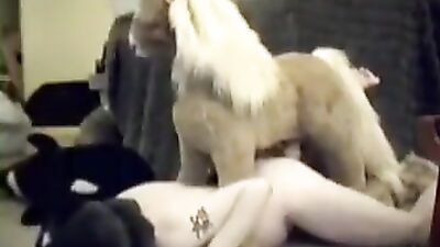 Girls s dogs: sex zoo fo men