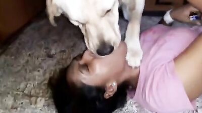 Zoo sex porn: porn zoo dog compilation hd free